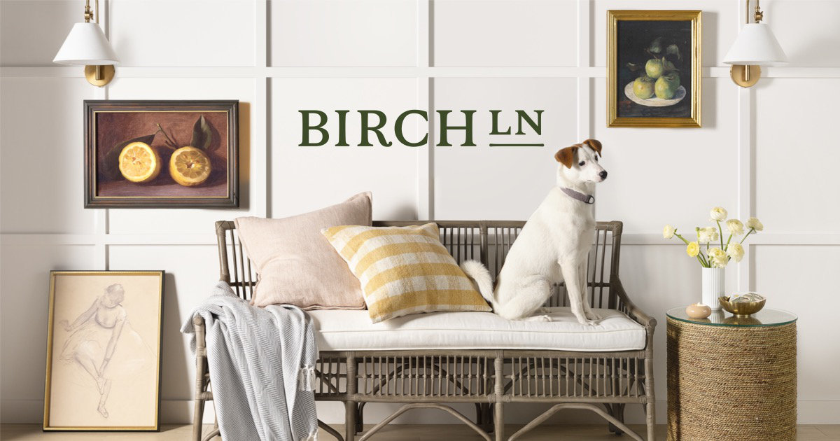 Birch lane store furniture website